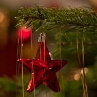 Se nogle af de mange faste danske juletraditioner i dette indlæg