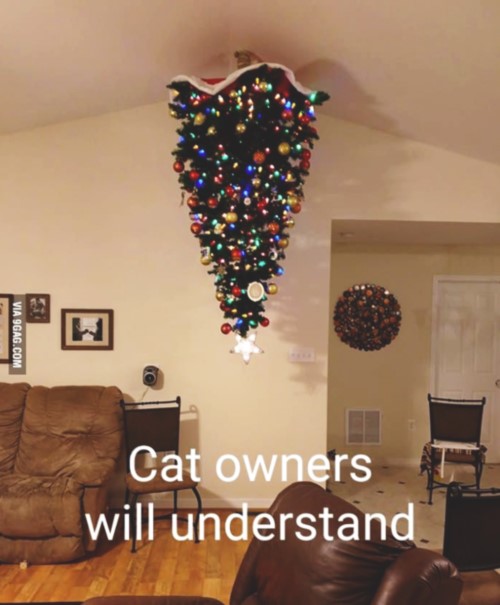 Juletræ til katteejere